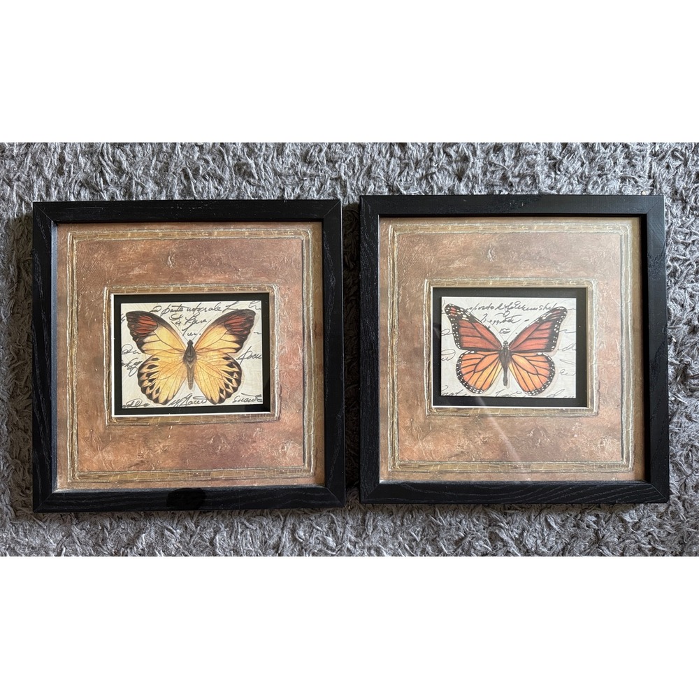 Set of 2 Framed Butterfly Art Prints Vintage Script Nature Wall Decor 11.5x11.5